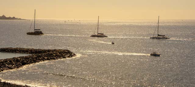 Alquiler de barcos sin licencia en Costa Adeje en Costa Adeje