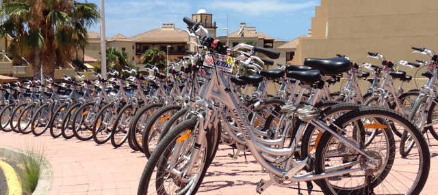 Alquiler de bicicleta en el sur de Tenerife en Playa De Las Americas