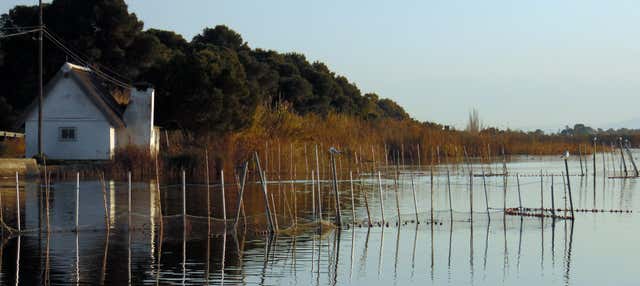 Autobús turístico de la Albufera + Paseo en barca en Valencia