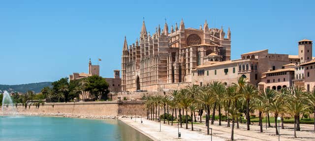 Autobús turístico de Palma de Mallorca en Palma Mallorca