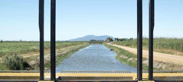 Avistamiento de aves en el Delta del Ebro en L Ampolla