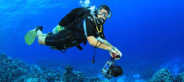 Bautismo de buceo en Almuñécar en Almunecar