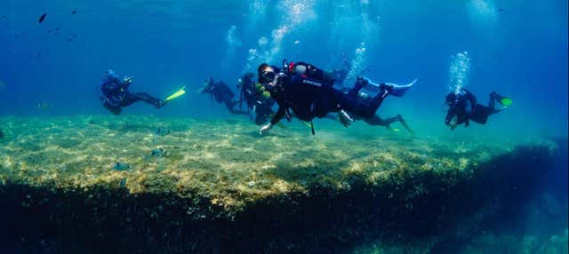 Bautismo de buceo en Barcelona en Barcelona
