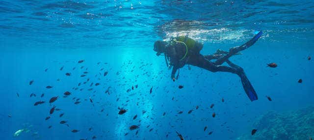 Bautismo de buceo en el Parque Natural del Montgrí en Estartit
