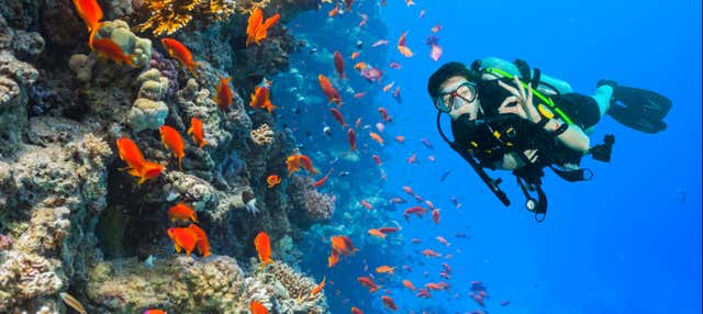 Bautismo de buceo en Gran Canaria en Playa Del Ingles