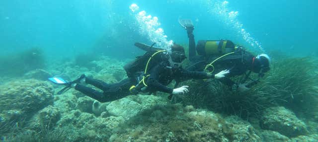 Bautismo de buceo en Jávea en Javea