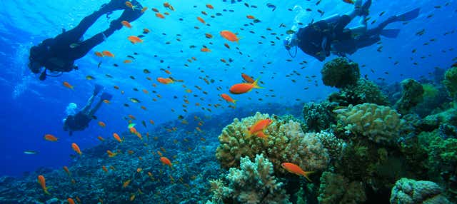 Bautismo de buceo en la costa de Ciudadela en Ciudadela