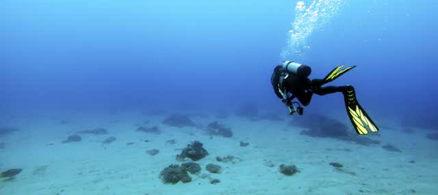 Bautismo de buceo en Las Galletas en Las Galletas
