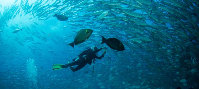 Bautismo de buceo en Las Negras en Negras