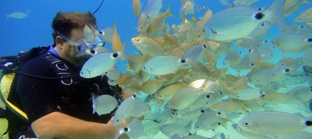 Bautismo de buceo en Mallorca en Magaluf