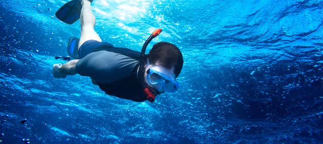 Bautismo de buceo en Tarragona en Tarragona