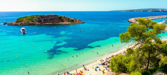 Buceo en Cala Portals Nous en Cas Catala