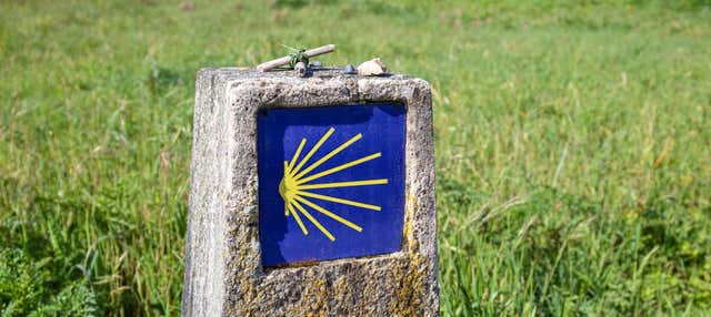 Camino de Santiago francés en 7 días en Sarria