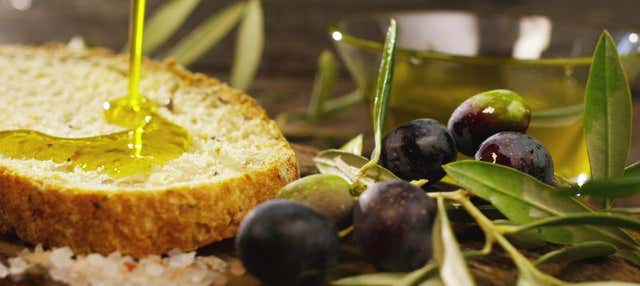 Cata de aceites de Jaén en Ubeda