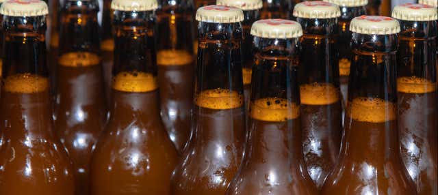 Cata de cerveza artesanal en Peñíscola en Peniscola