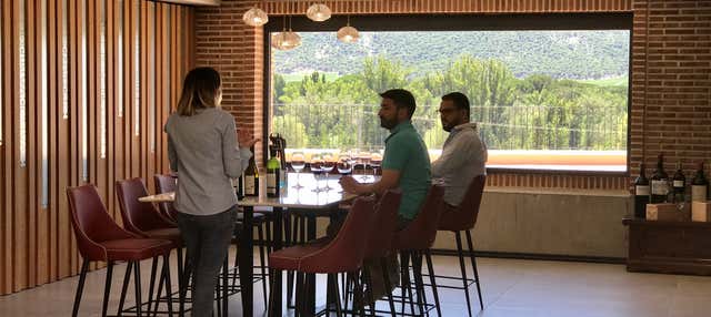 Cata de vino, queso y aceite en la Bodega Matarromera en Valbuena Duero