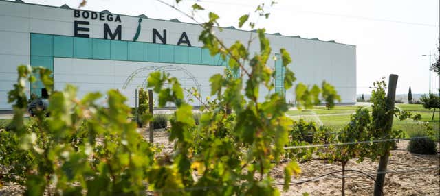 Cata de vino y queso en el Museo del Vino Emina en Valbuena Duero