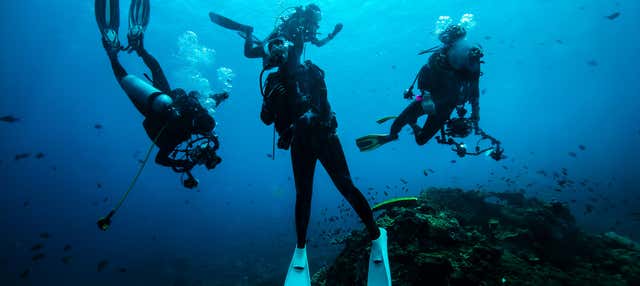 Curso de buceo PADI Open Water en Ciudadela en Ciudadela
