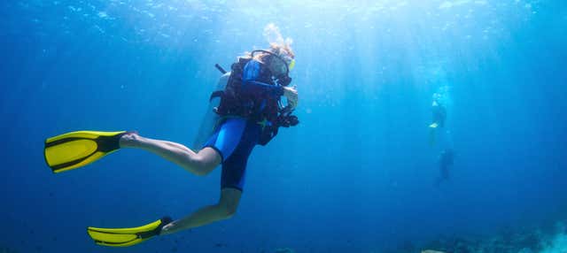 Curso de buceo PADI Open Water en Los Cristianos en Los Cristianos