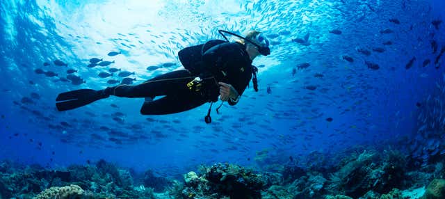 Curso de buceo PADI Open Water en Almunecar