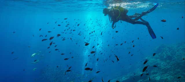 Curso de buceo PADI Open Water en Tossa De Mar