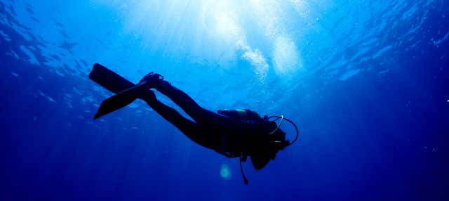 Curso Scuba Diver en Los Abrigos en Los Abrigos