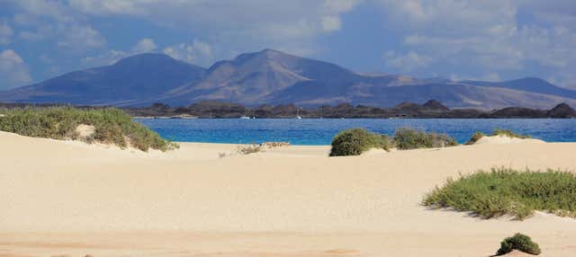 Dunas de Fuerteventura por libre en Arrecife