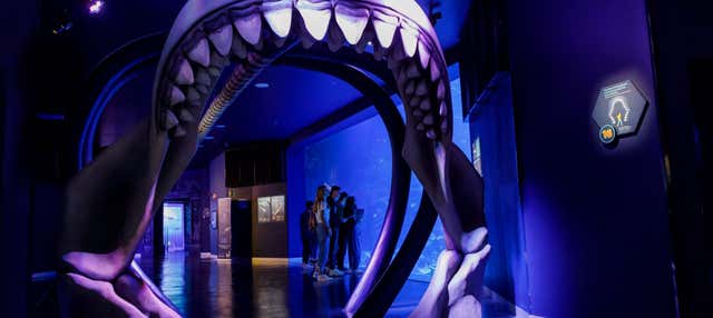 Entrada a Atlantis Aquarium en Arroyomolinos