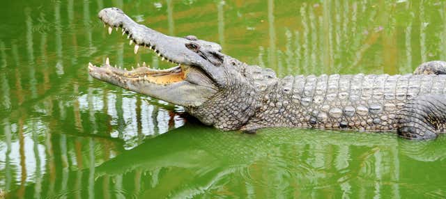 Entrada a Crocodile Park en Torremolinos