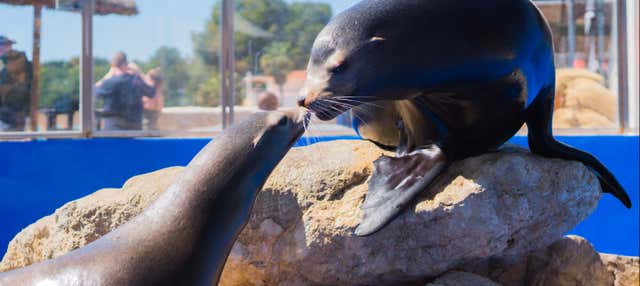 Entrada a Marineland Mallorca en Costa D En Blanes