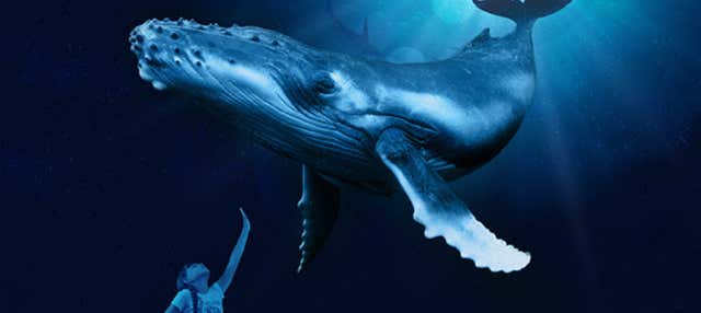 Entrada a Palma Aquarium en Palma Mallorca