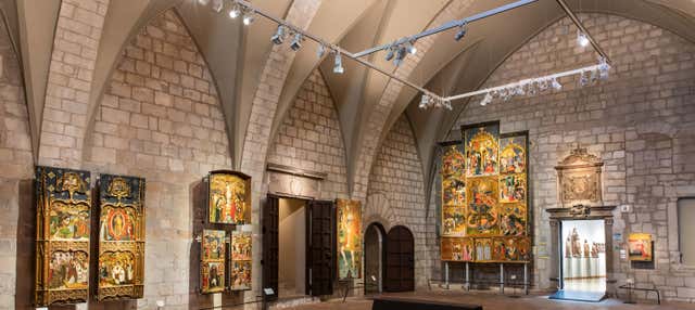 Entrada al Museo de Arte de Gerona en Gerona
