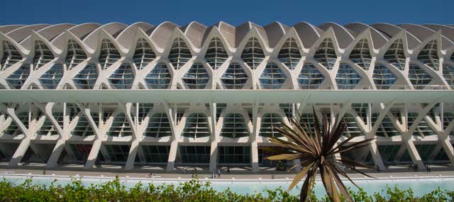 Entrada al Museo de las Ciencias Príncipe Felipe en Valencia