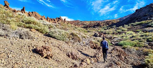 Entrada al teleférico del Teide + Senderismo al pico en Playa De San Juan