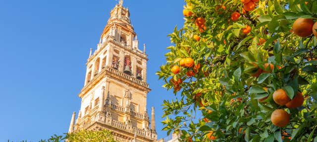 Entradas a la Catedral de Sevilla y la Giralda con audioguía en Sevilla