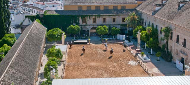 Espectáculo ecuestre en las Caballerizas Reales en Cordoba