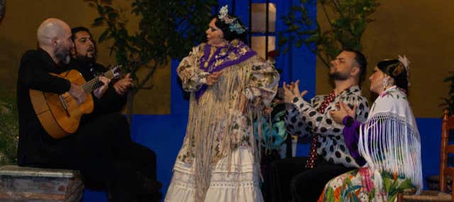 Espectáculo en el Tablao Flamenco Marbella en Marbella