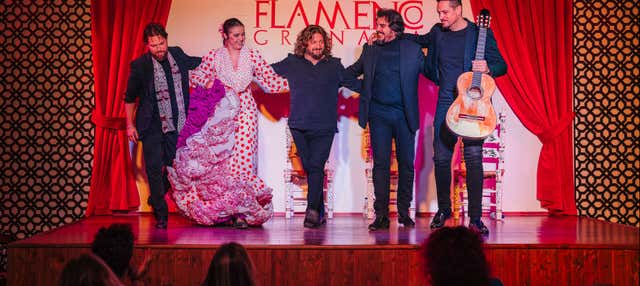 Espectáculo en el tablao Palacio Flamenco en Granada