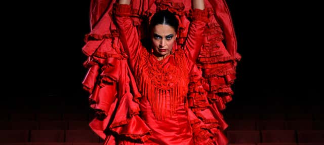 Espectáculo en el Teatro Flamenco Granada en Granada