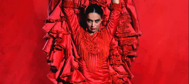 Espectáculo en el Teatro Flamenco Sevilla en Sevilla