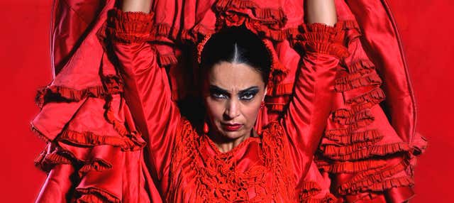 Espectáculo en el Teatro Flamenco en Madrid