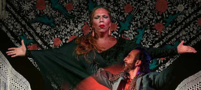 Espectáculo flamenco en el tablao Alegría en Malaga