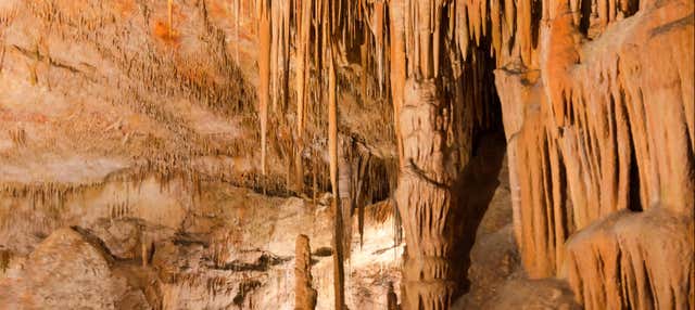 Espeleología marina en la Cova des Coloms en El Arenal