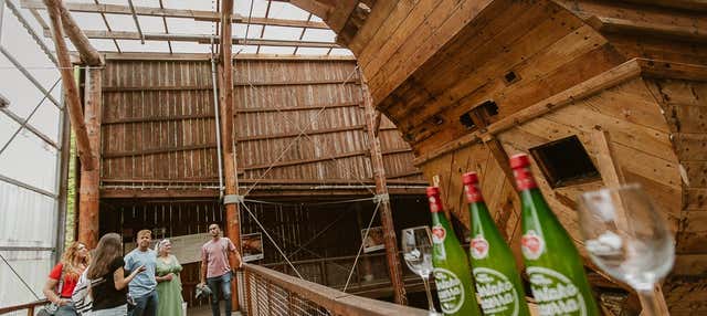 Excursión a Albaola + Visita a una sidrería vasca en San Sebastian