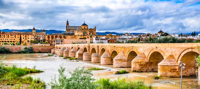 Excursión a Córdoba + Visita a la Mezquita-Catedral en Sevilla