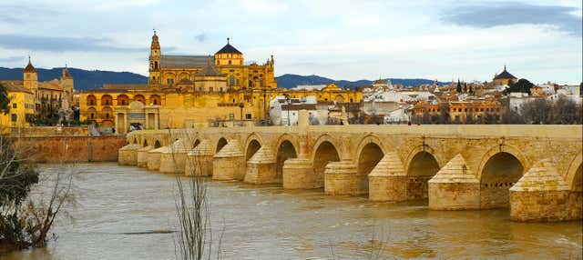 Excursión a Córdoba en Estepona