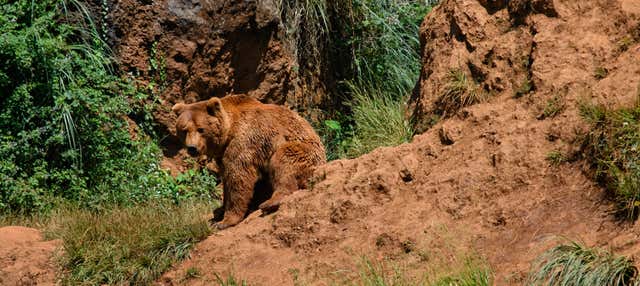 Excursión a Cabárceno en Santander