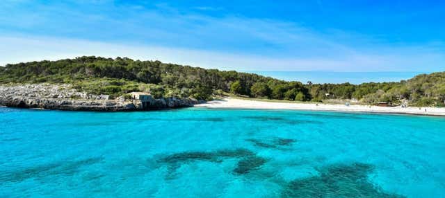 Excursión a Cala Mondragó y S'Amarador en El Arenal