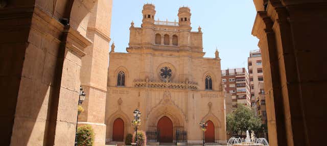 Excursión a Castellón de la Plana en Oropesa Del Mar