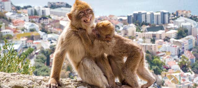 Excursión a Gibraltar en San Fernando